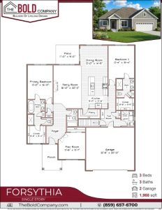 Forsythia V26.1 (854x480)