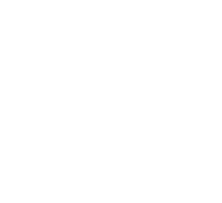 The Bold Company Logo